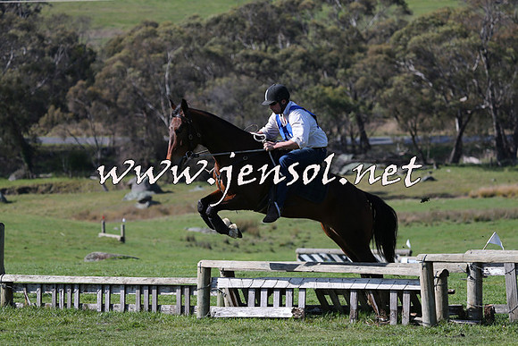 TumbarumbaStockmensChallenge_1475
