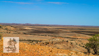 BirdsvilleRaces2022_0009
