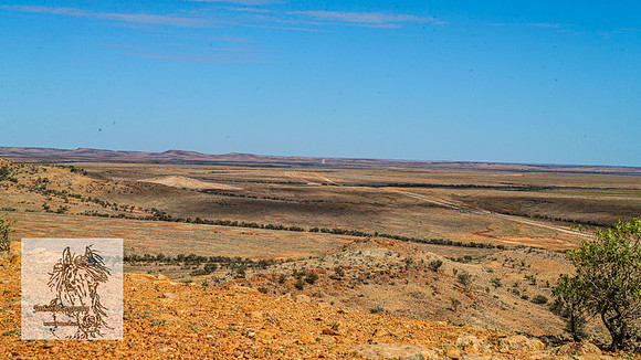 BirdsvilleRaces2022_0009