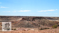 BirdsvilleRaces2022_0027