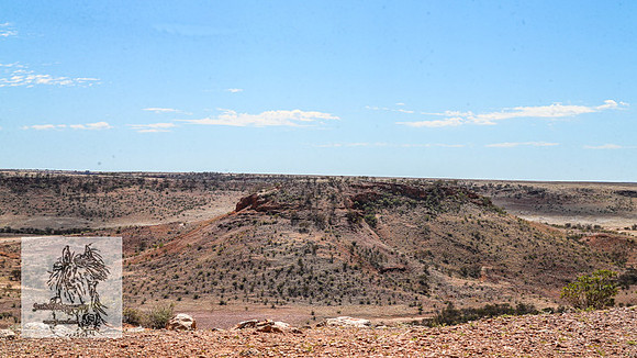 BirdsvilleRaces2022_0027