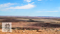 Birdsville to Windorah