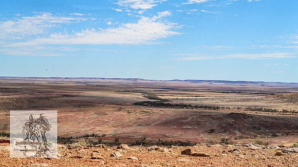 BirdsvilleRaces2022_0005