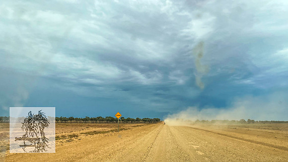 BirdsvilleRaces2022-511