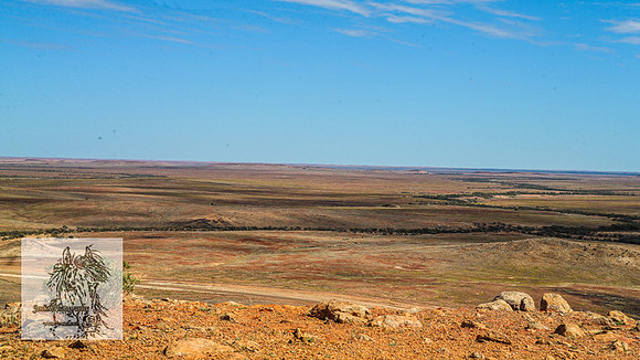 BirdsvilleRaces2022_0014