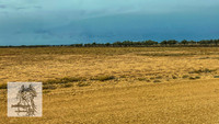 BirdsvilleRaces2022-512