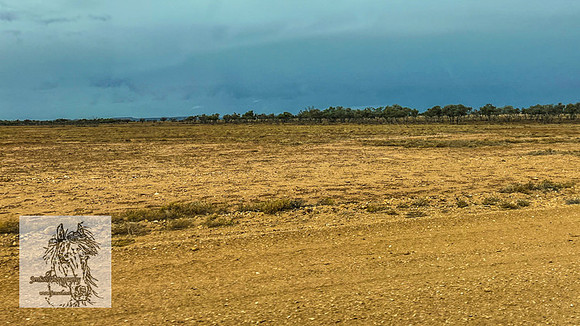 BirdsvilleRaces2022-512
