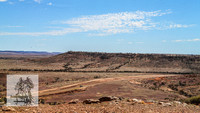 BirdsvilleRaces2022_0030