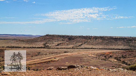 BirdsvilleRaces2022_0030