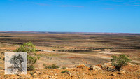 BirdsvilleRaces2022_0011
