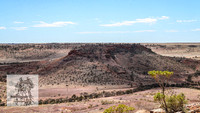 BirdsvilleRaces2022_0017