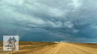 BirdsvilleRaces2022-513