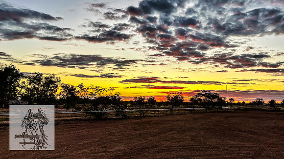 BirdsvilleRaces2022-548