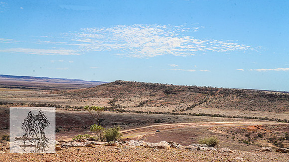 BirdsvilleRaces2022_0007