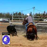 CountyofCumberland2019_0011