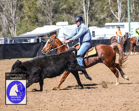 CountyofCumberland2019_7186