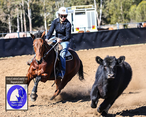CountyofCumberland2019_7097