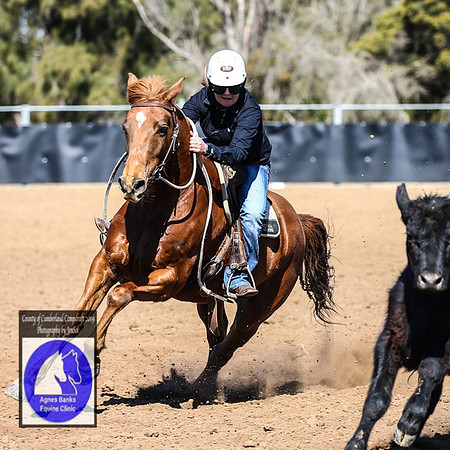 CountyofCumberland2019_6881