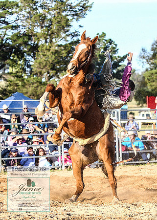 BraidwoodRodeo2019_2580