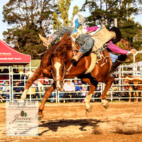 BraidwoodRodeo2019_2543