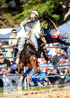 BraidwoodRodeo2019_2760