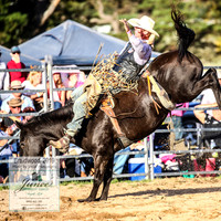 BraidwoodRodeo2019_2616
