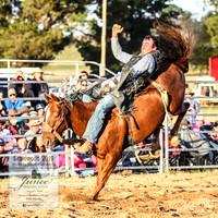 BraidwoodRodeo2019_2943