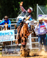 TaralgaRodeo2019_6534