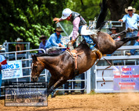 TaralgaRodeo2019_8360