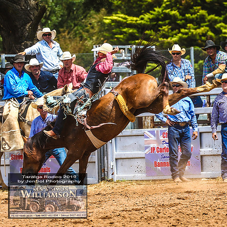 TaralgaRodeo2019_8518