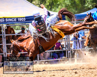 TaralgaRodeo2019_6565