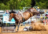 TaralgaRodeo2019_8366