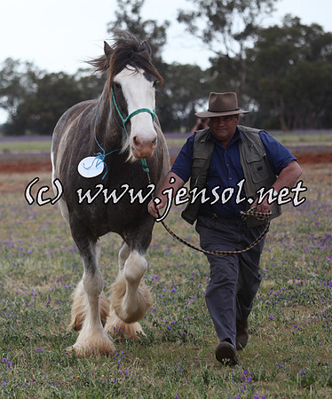 barellansat5d_0511