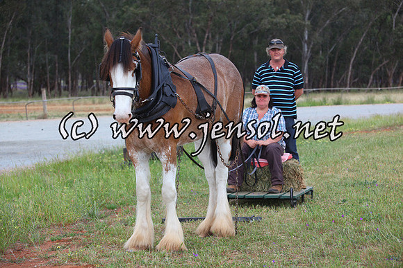 barellansat5d_0626