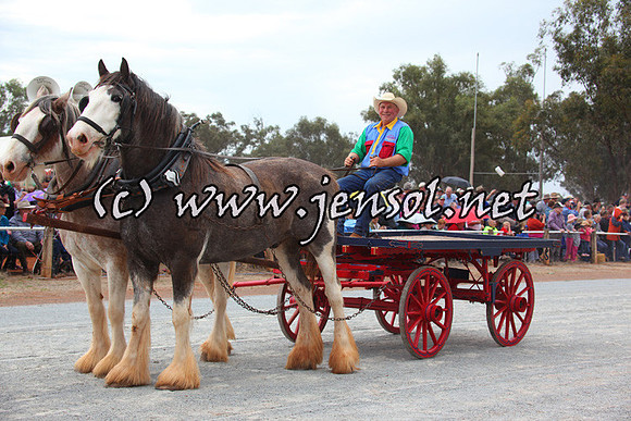 barellansat5d_0636