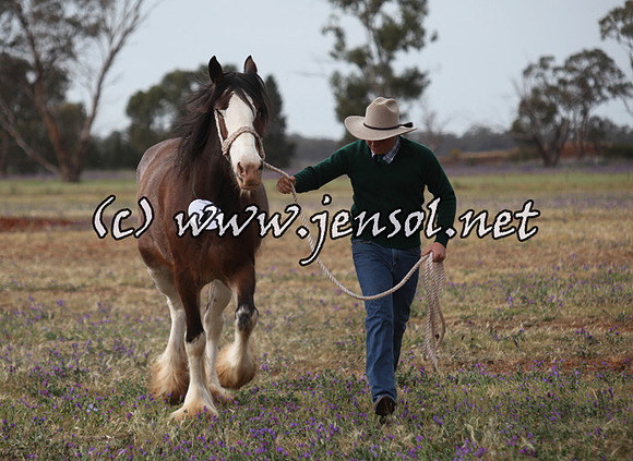 barellansat5d_0496