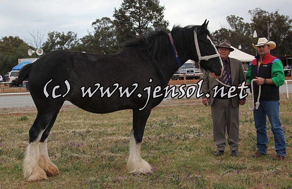 barellansat5d_0482