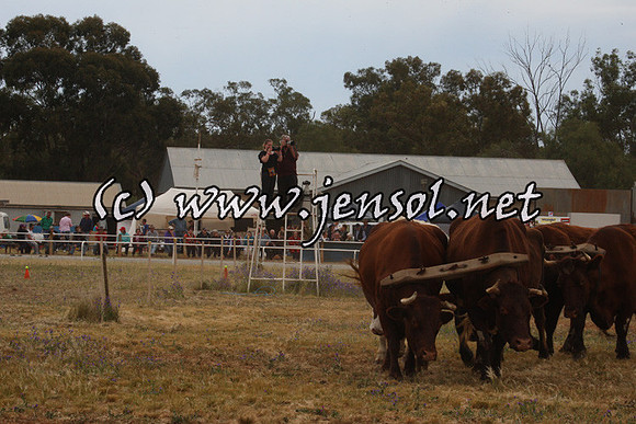 barellansat1d_0024