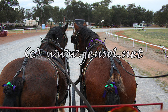 barellansat1d_0164