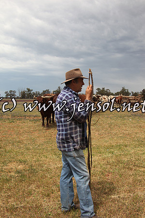 barellansat5d_0559