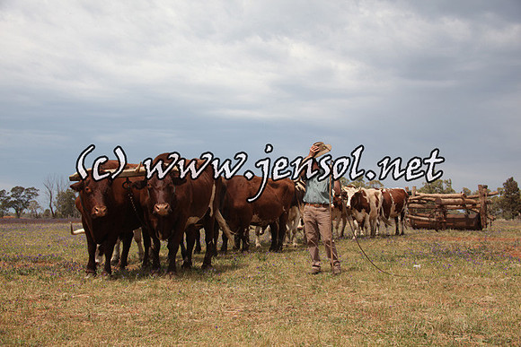 barellansat5d_0556