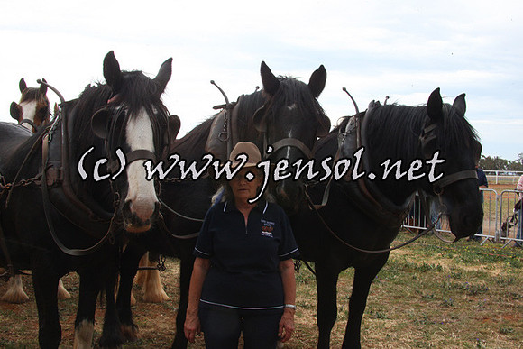 barellansat1d_0080