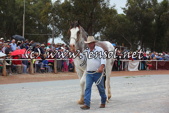barellansat5d_0643