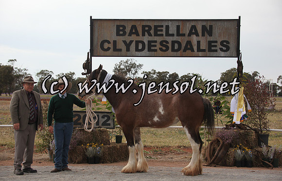 barellansat5d_0502
