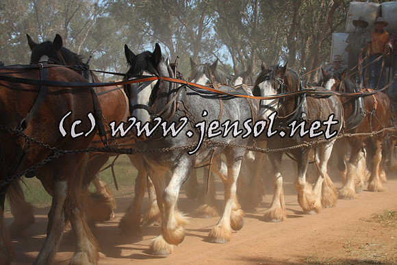 barellanfri1d_0132