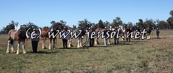 barellansun5d_0009