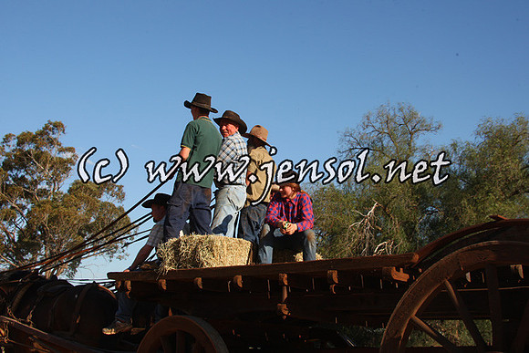 barellanthurs_0029