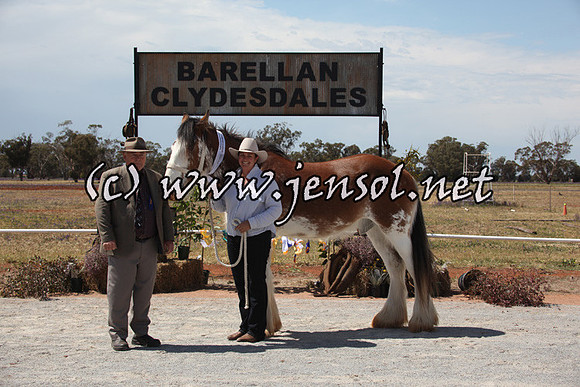 barellansat5d_0529