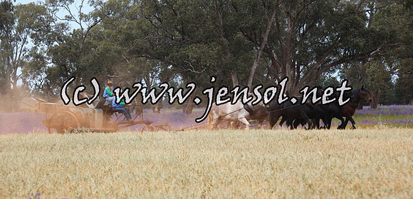 barellansat5d_0594