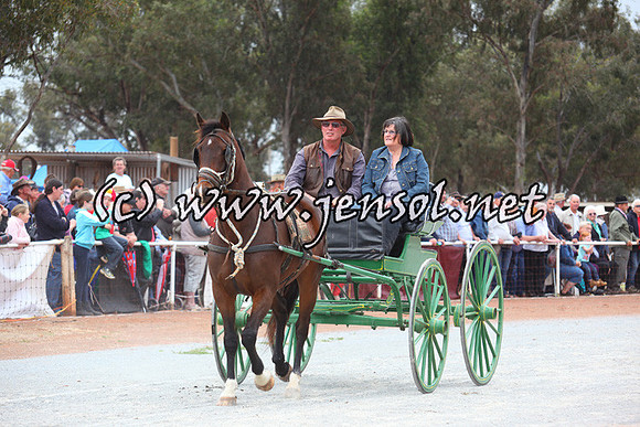 barellansat5d_0644